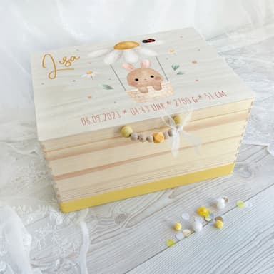 Hase im Heißluftballon